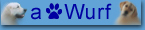 A Wurf