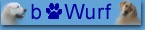 B Wurf