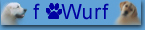 F Wurf